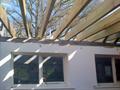 TLCC_020309_7.JPG